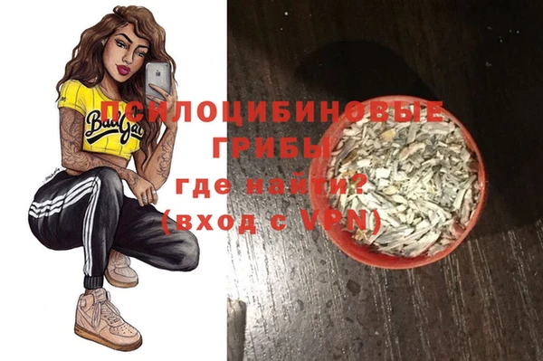 гашик Кукмор