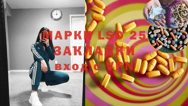 гашик Кукмор