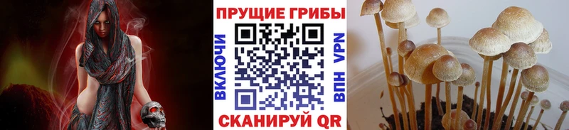 Псилоцибиновые грибы прущие грибы  Купить  Ейск 